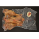 Manchons de canard confits (+/- 400g)